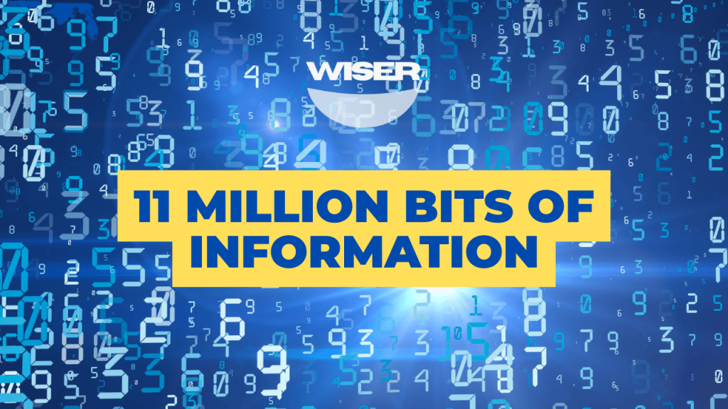 11 MILLION BITS OF INFORMATION