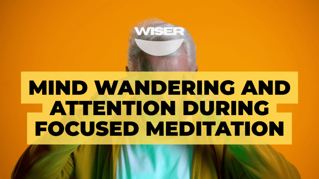 MIND WANDERING AND ATTENTION DURING FOCUSED MEDITATION